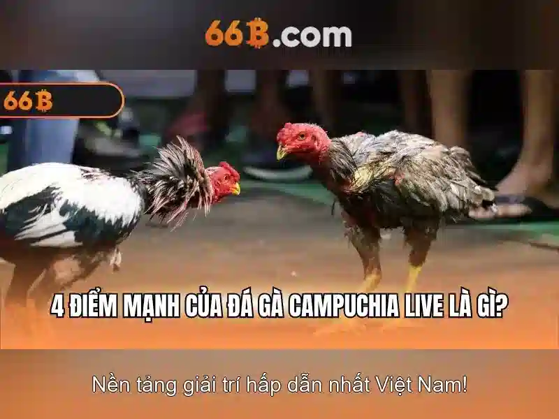 Thể Thao 66B